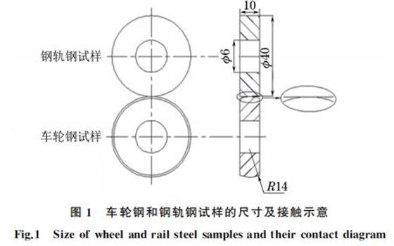图１ 车轮钢和钢轨钢试样的尺寸及接触示意