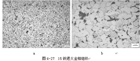 碳钢退火金相组织