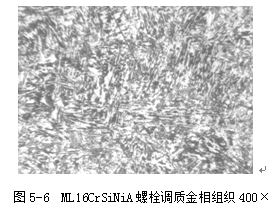 ML16CrSiNiA螺栓调质金相组织400×