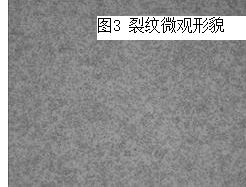 图16-32 2#螺栓球化组织