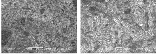 图16-69 无裂纹件的组织形貌 500×图16-70 无裂纹件的组织形貌 1000×