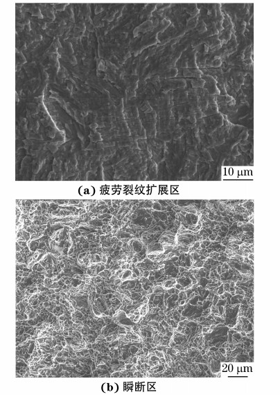 图４ ３００M 钢试样疲劳断口不同区域的SEM 形貌