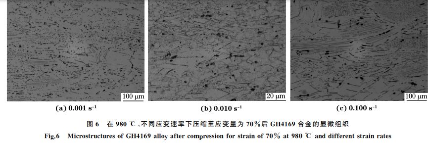 图６ 在９８０ ℃、不同应变速率下压缩至应变量为７０％