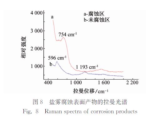 图８ 盐雾腐蚀表面产物的拉曼光谱