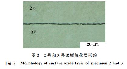 图２ ２号和３号试样氧化层形貌