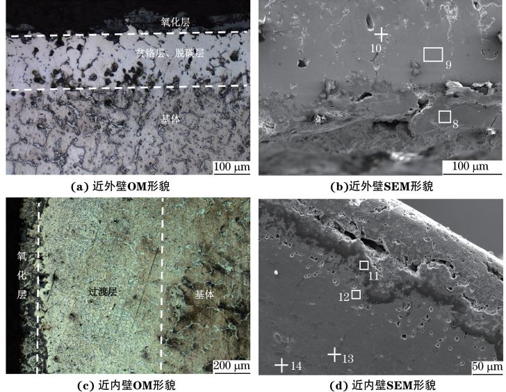 图３ ２＃ 管横截面近外壁和近内壁的显微组织