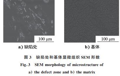 图３ 缺陷处和基体显微组织SEM 形貌