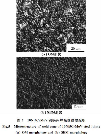 图５ １０Ni５CrMoV钢接头焊缝区显微组织