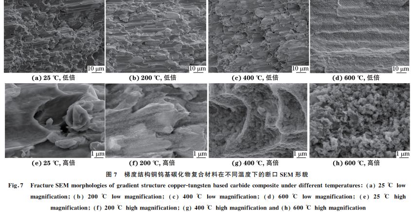 图７ 梯度结构铜钨基碳化物复合材料在不同温度下的断口SEM 形貌