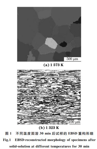 图１ 不同温度固溶３０min后试样的 EBSD重构形貌