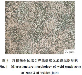 图4 焊接接头区域2焊缝裂纹区显微组织形貌