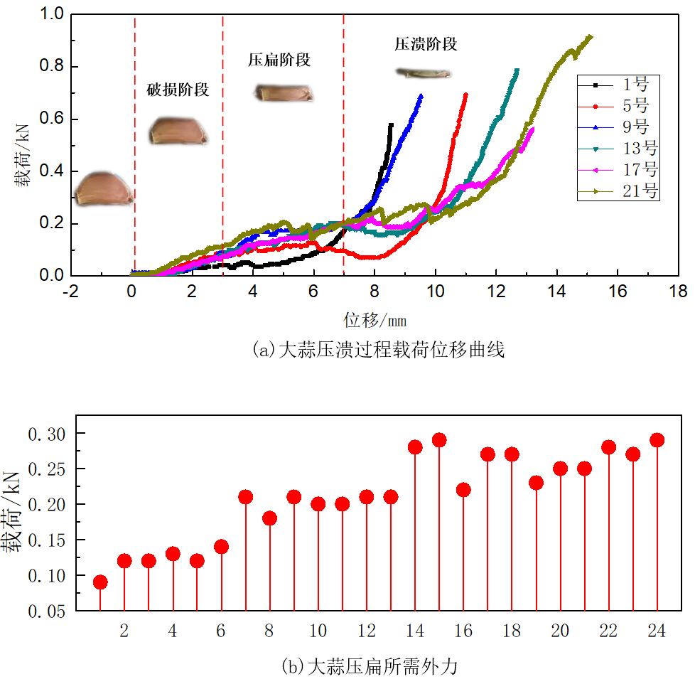 图4大蒜破坏实验结果